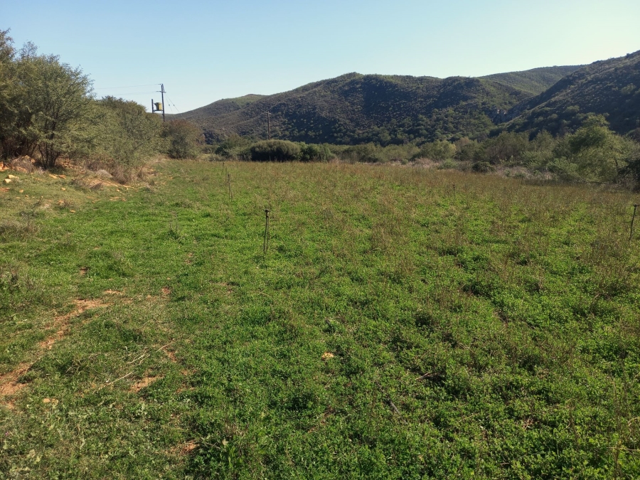 Commercial Property for Sale in George Rural Western Cape